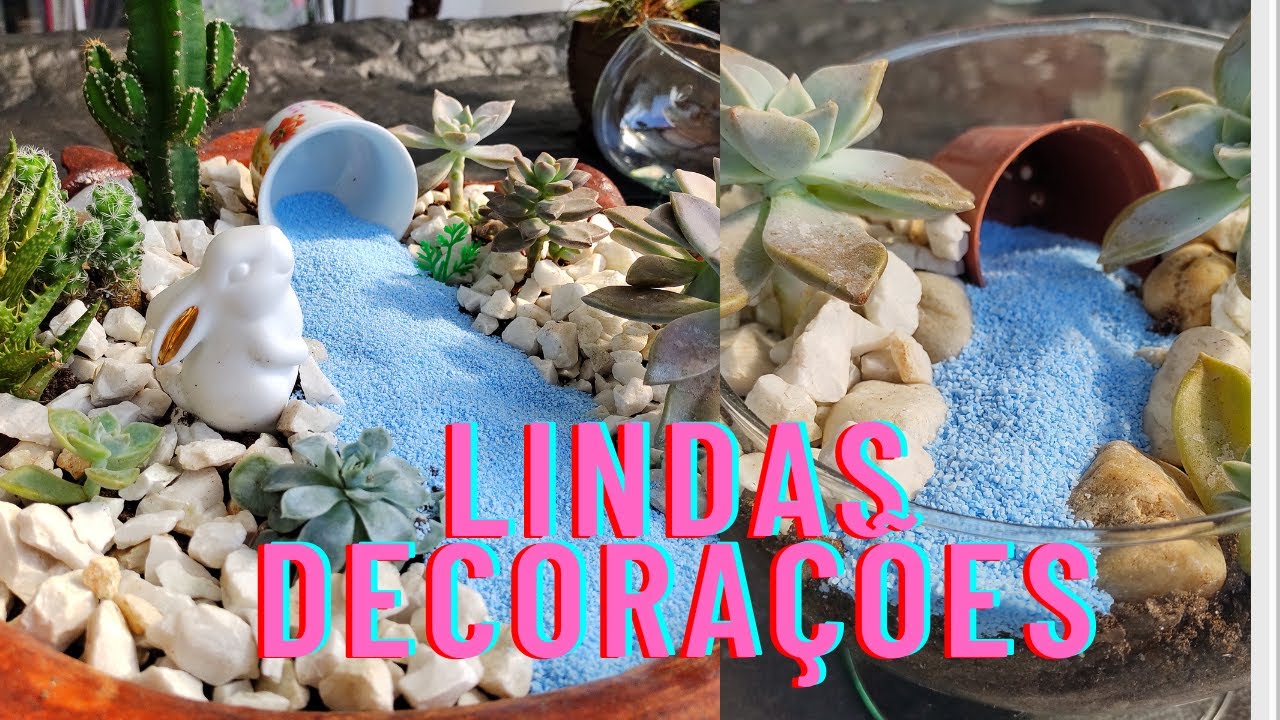 Mini jardim de Suculentas