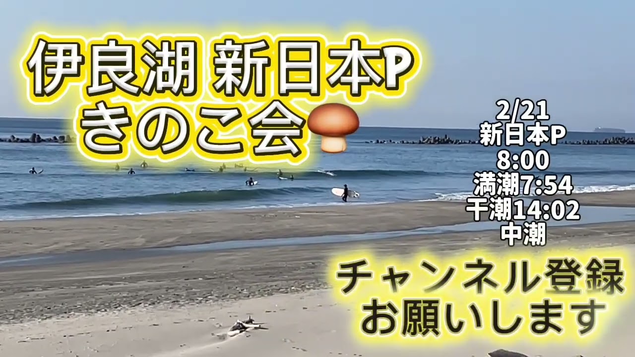 2/21.22 週末まとめ【伊良湖波情報】2026