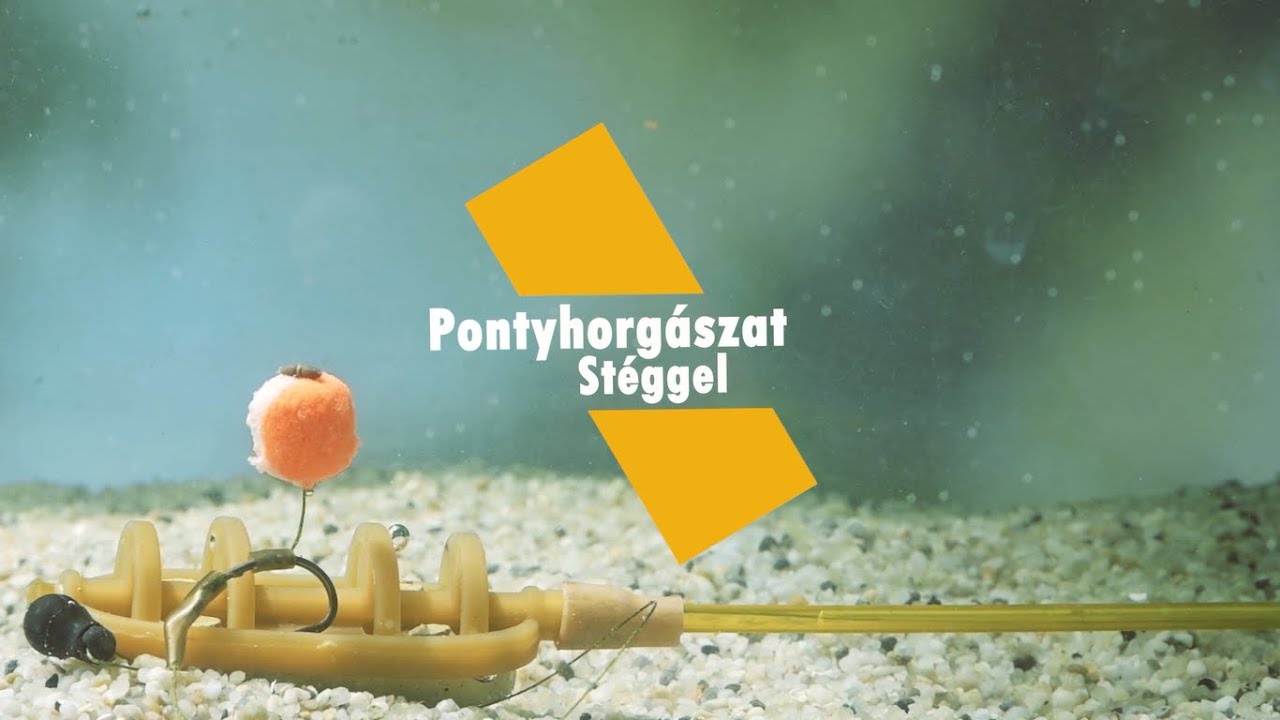 Nyári tejsavas tippek
