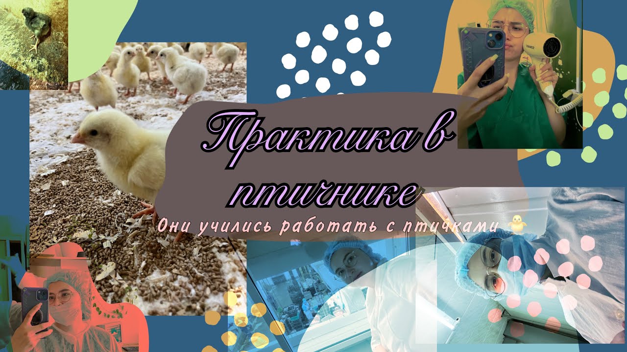УЕХАЛИ НА ПРАКТИКУ 🐣||Месяц практики на предприятии ||