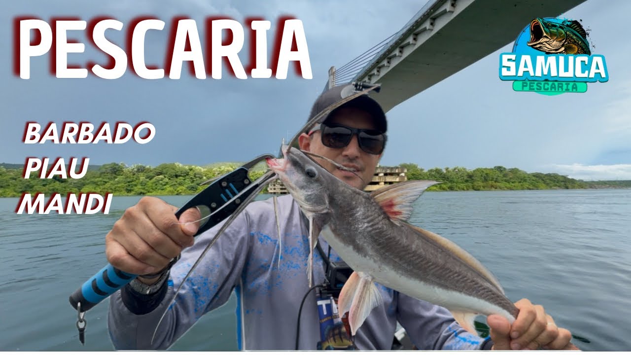 Pesca no rio Tocantins, peguei um BARBADO bonito!