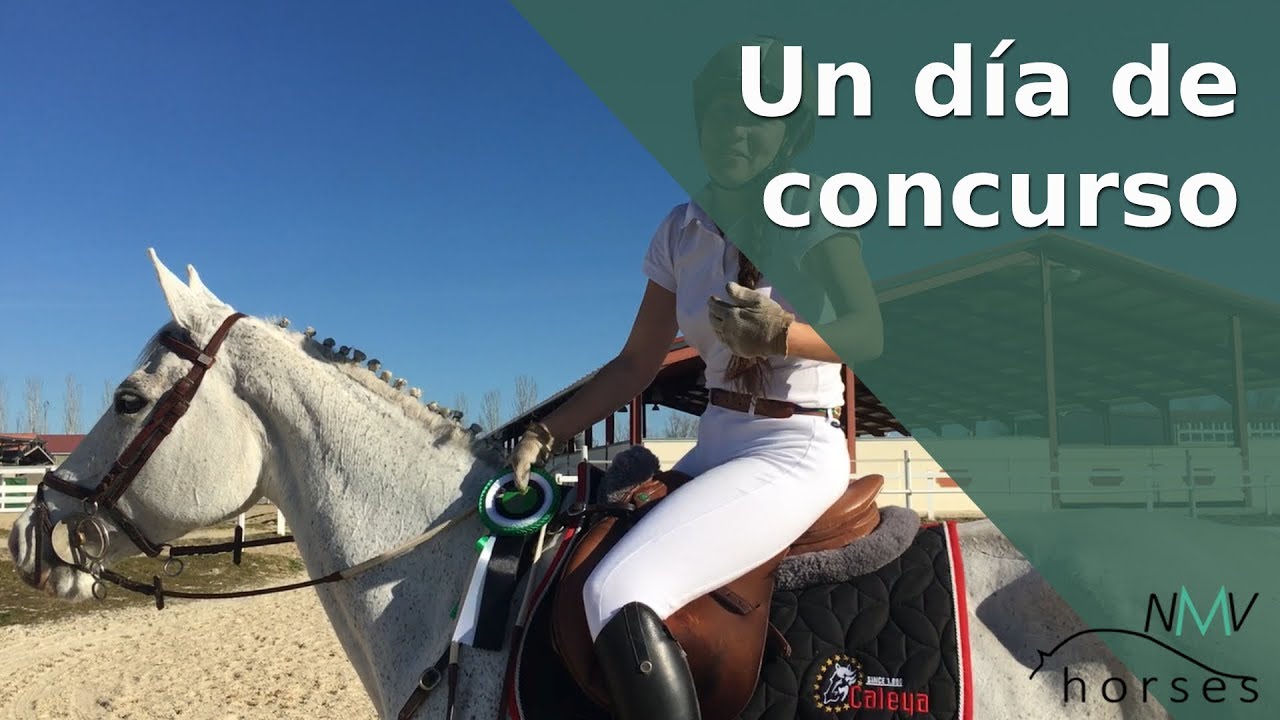 ¡Nos vamos de concurso! I Caballos y más