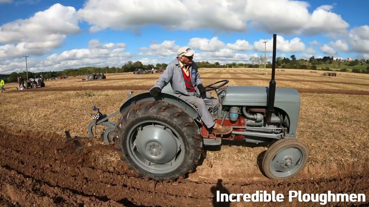 1953 Ferguson TEF20 2.1 LItre 4-Cyl Diesel Tractor (28 HP) at Wixford  Bidford Ploughing Match 2025