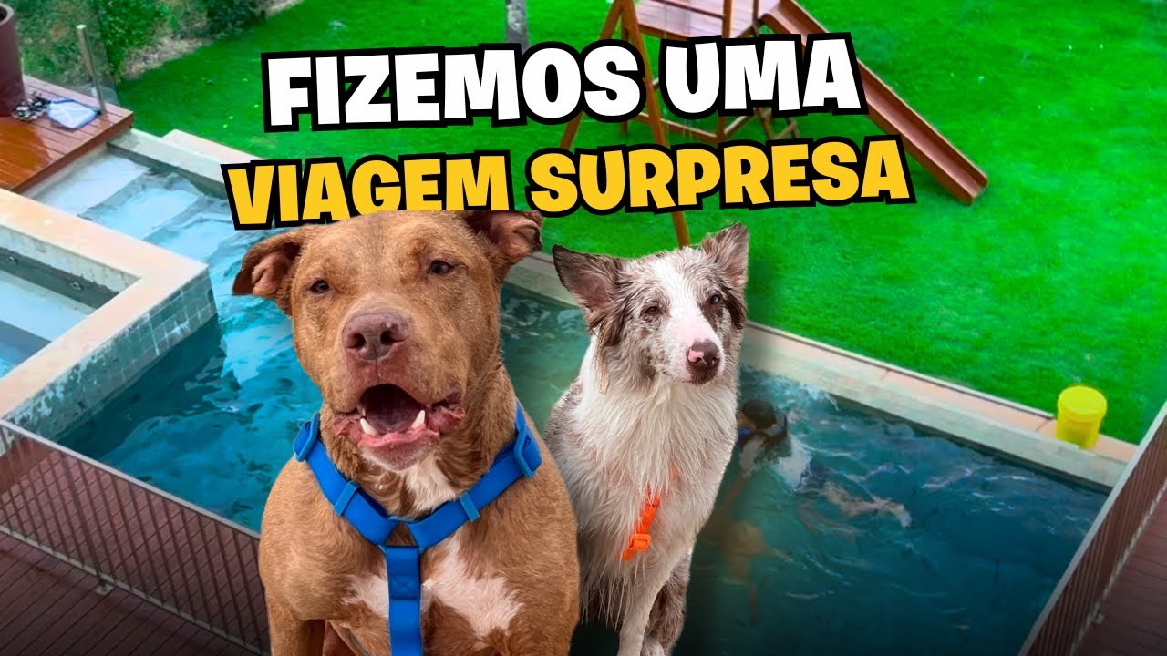 Primeira Viagem De 2025: O Sebastian Amou O Destino!