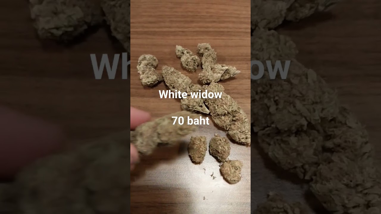 white widow organic #thailand #chiangmai #hemp #420 #710 #livingsoil #mmj