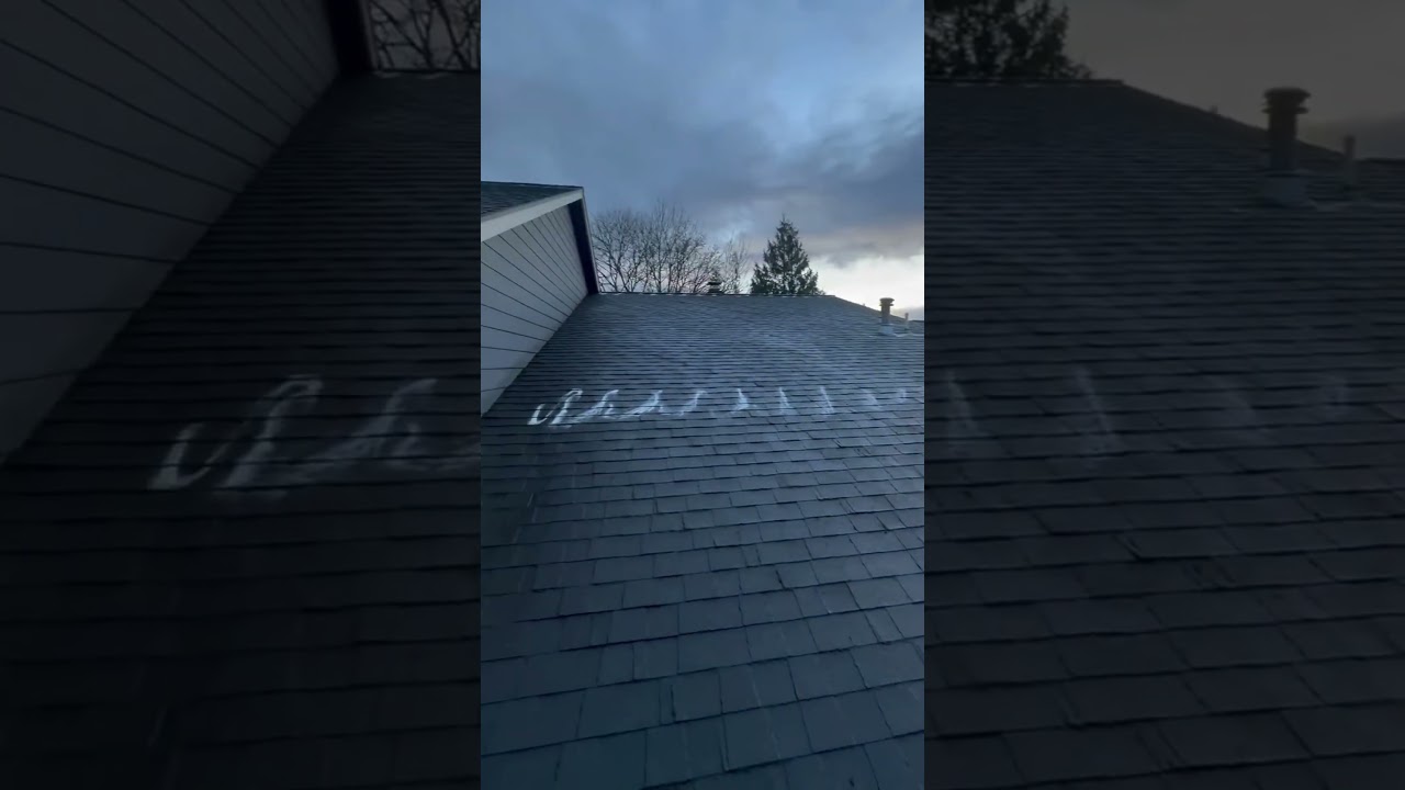 Shingle  Roof Cleaning Before & After 