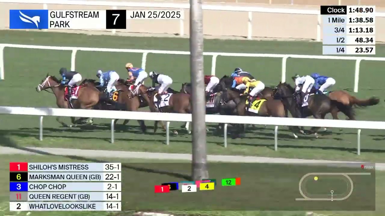 Gulfstream Park ( La Prevoyante S. G3 ) Carrera 7 - 25 de Enero 2025