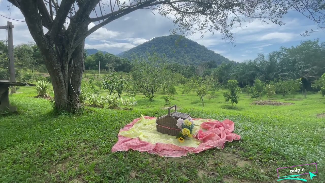 buy Fresh by farm singkawang picnic + foodies hunting kue singkawang