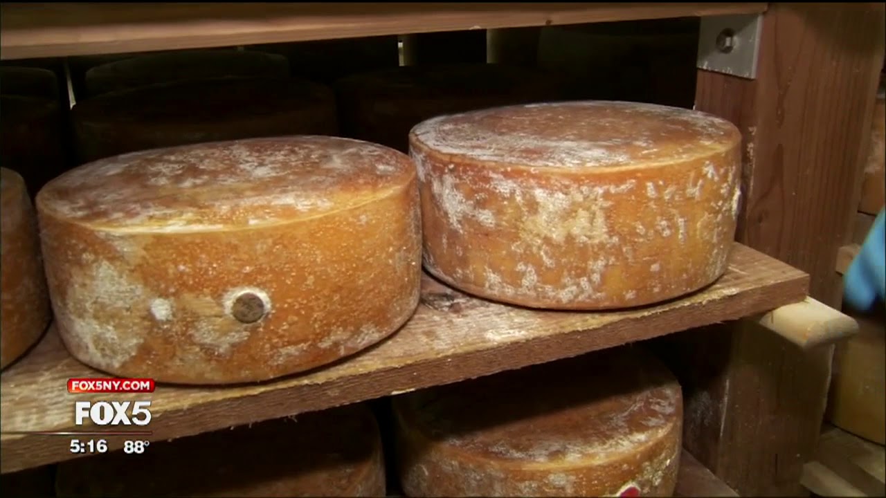 Arethusa Farm Dairy: A Thriving Farm That Grew Out of Just Wanting to Protect a View