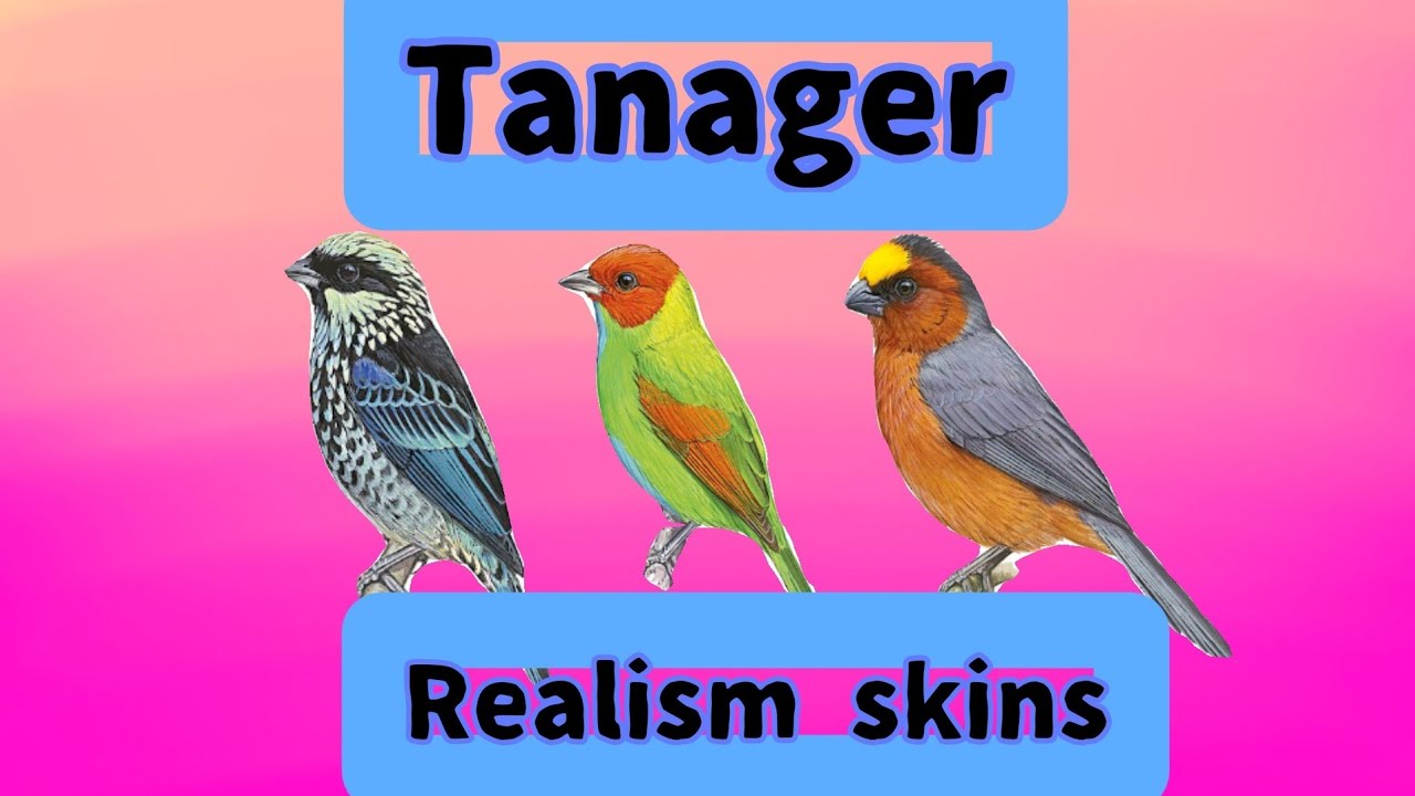 (Final part!) How to make tanager realism skins in Feather Family