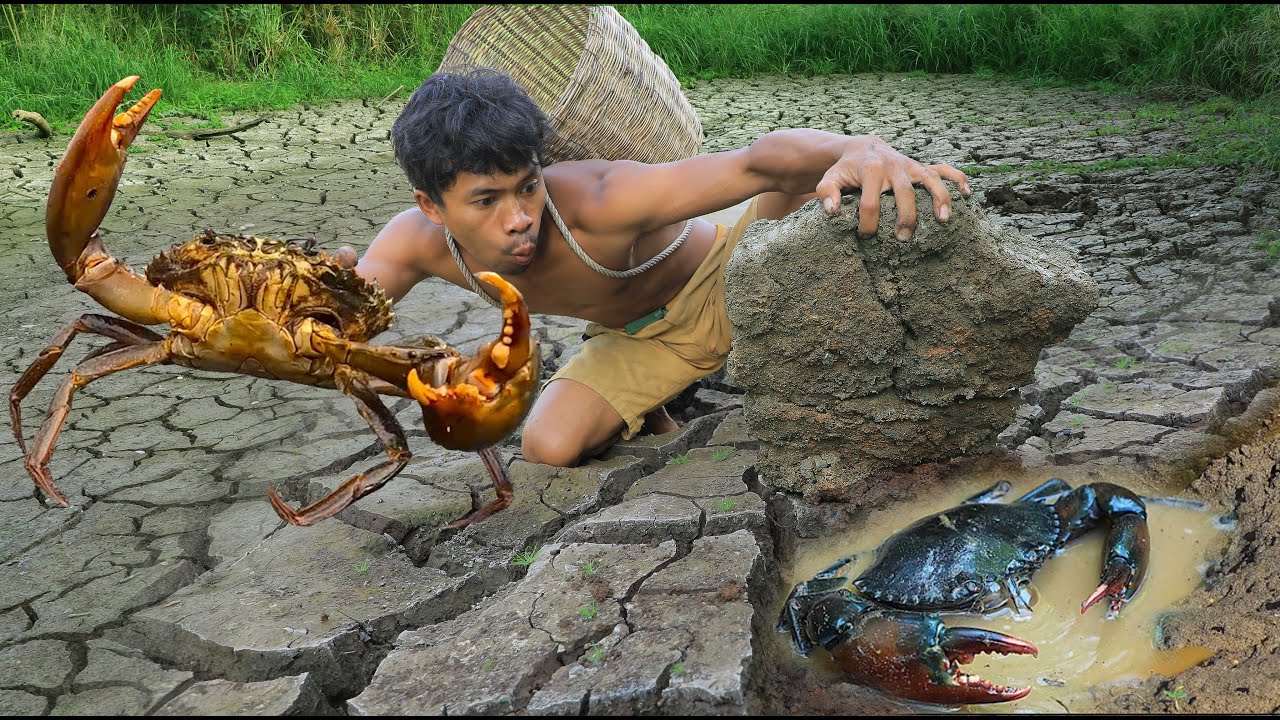 survival in the rainforest - Catch the crab in the mud - Eating Delicious