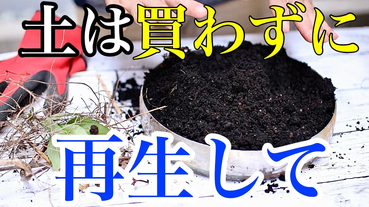 【土の再生】古い土は夏に簡単にリサイクルできます【太陽熱消毒】