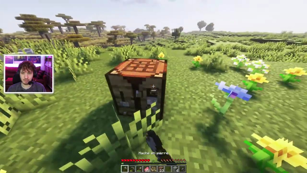 VOD - Terracid // Minecraft It Follows (mod horreur)