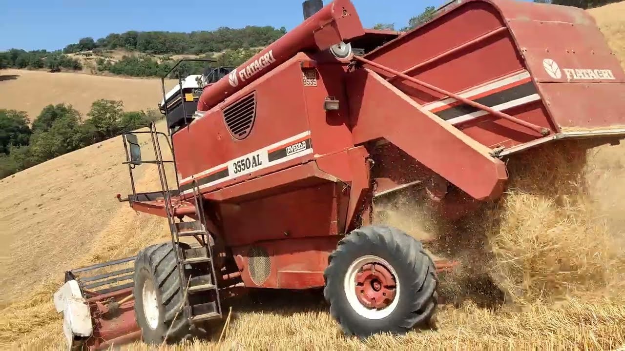 Trebbiatura avena 2022 con Fiatagri 3550AL (4k )#harvest #sound