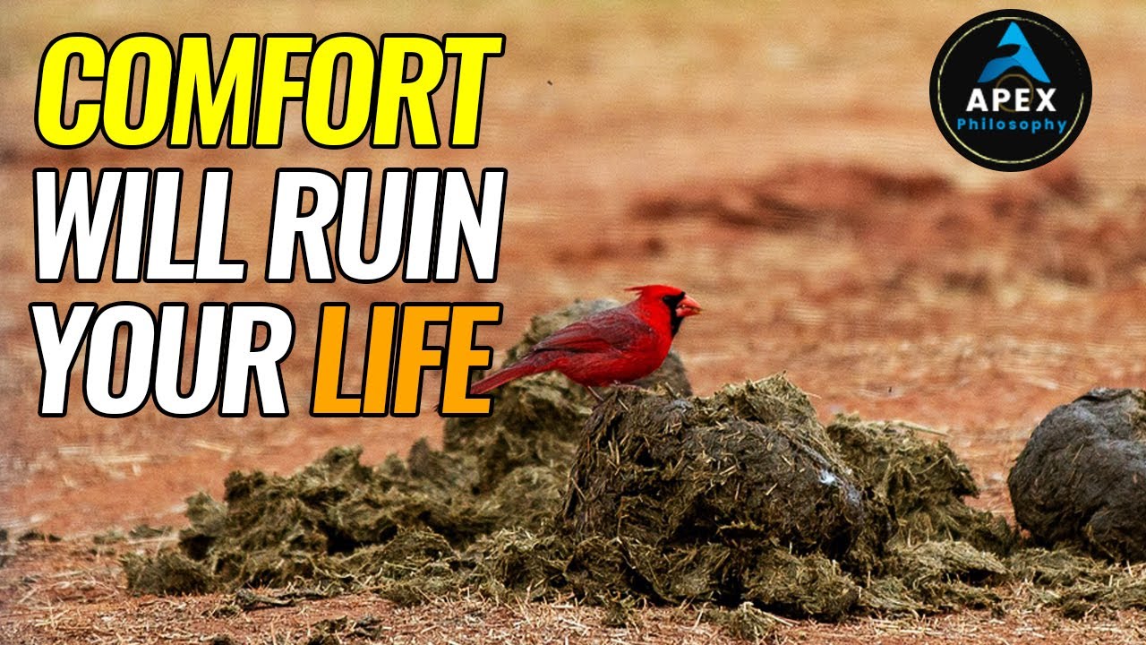 Comfort Will Ruin Your Life #dohardthings
