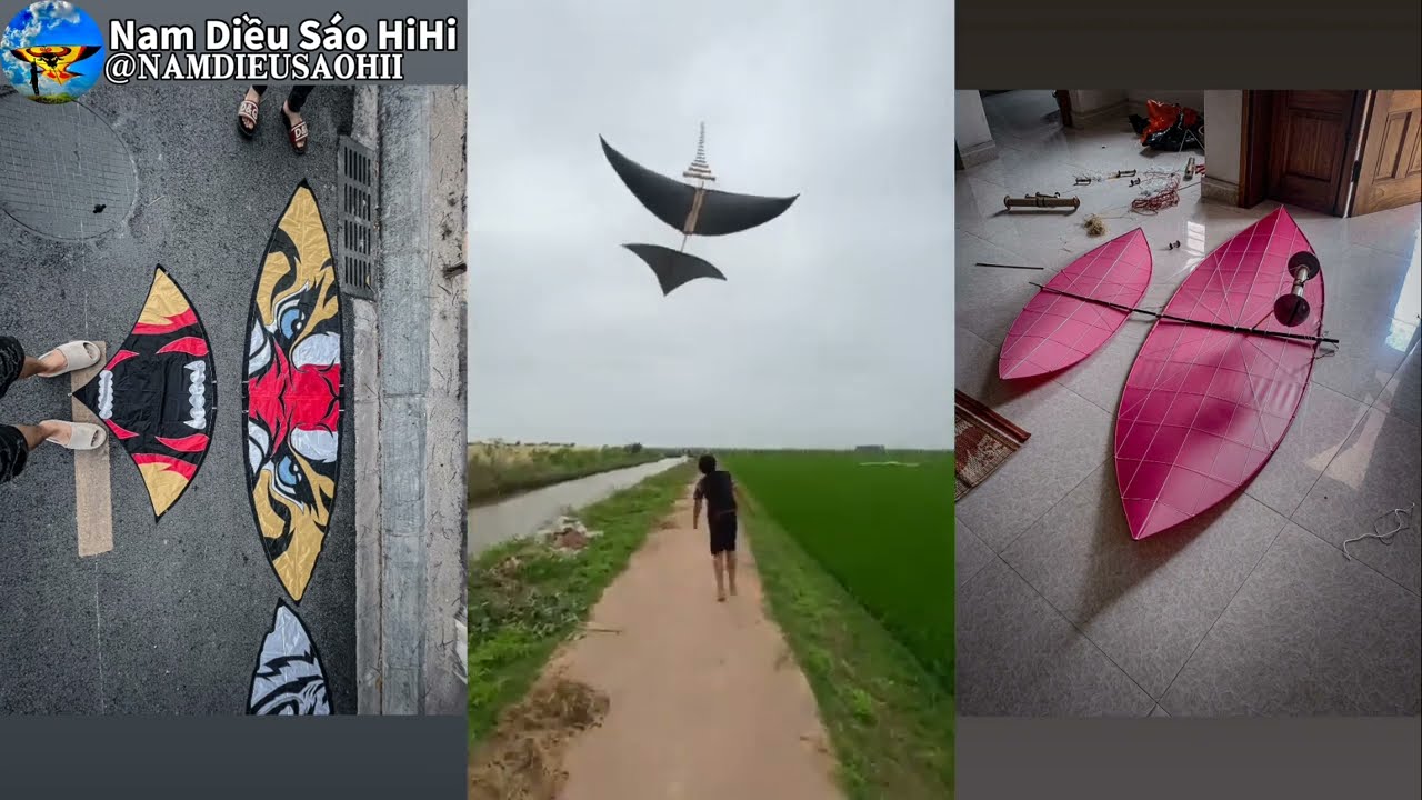 [TikTok Diều S&aacute;o] Series Tổng Hợp C&aacute;c Video Diều S&aacute;o Hay Nhất #264