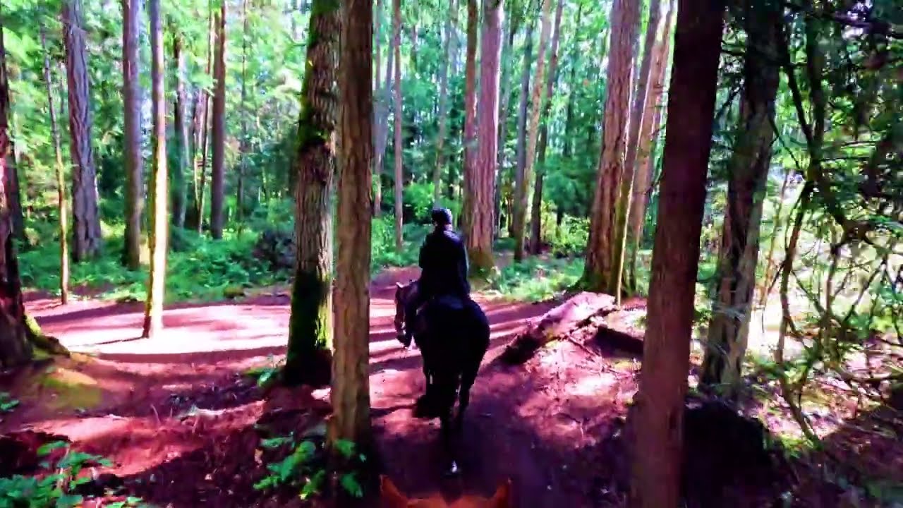Randy Stagg Video Production, Tranquil Moments, Trail Ride - Heading Out