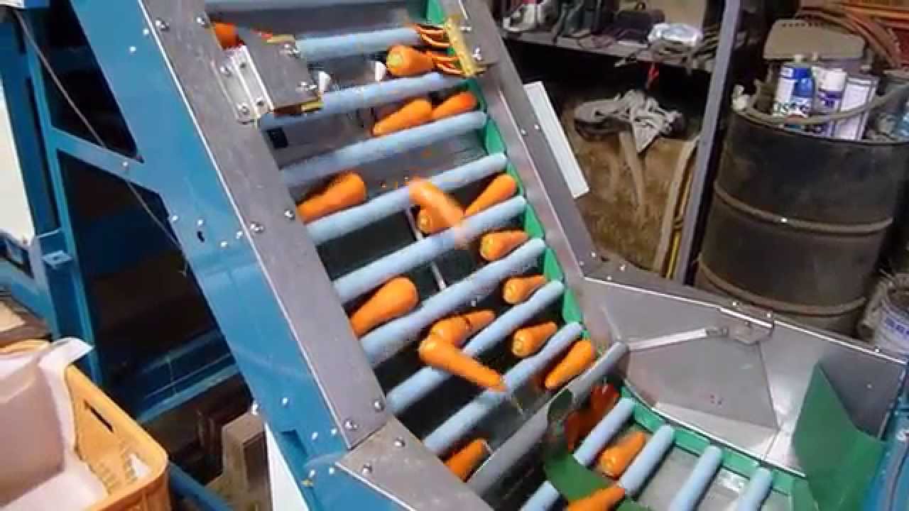 ニンジン　人参　選別　洗浄　佐藤　洗い機