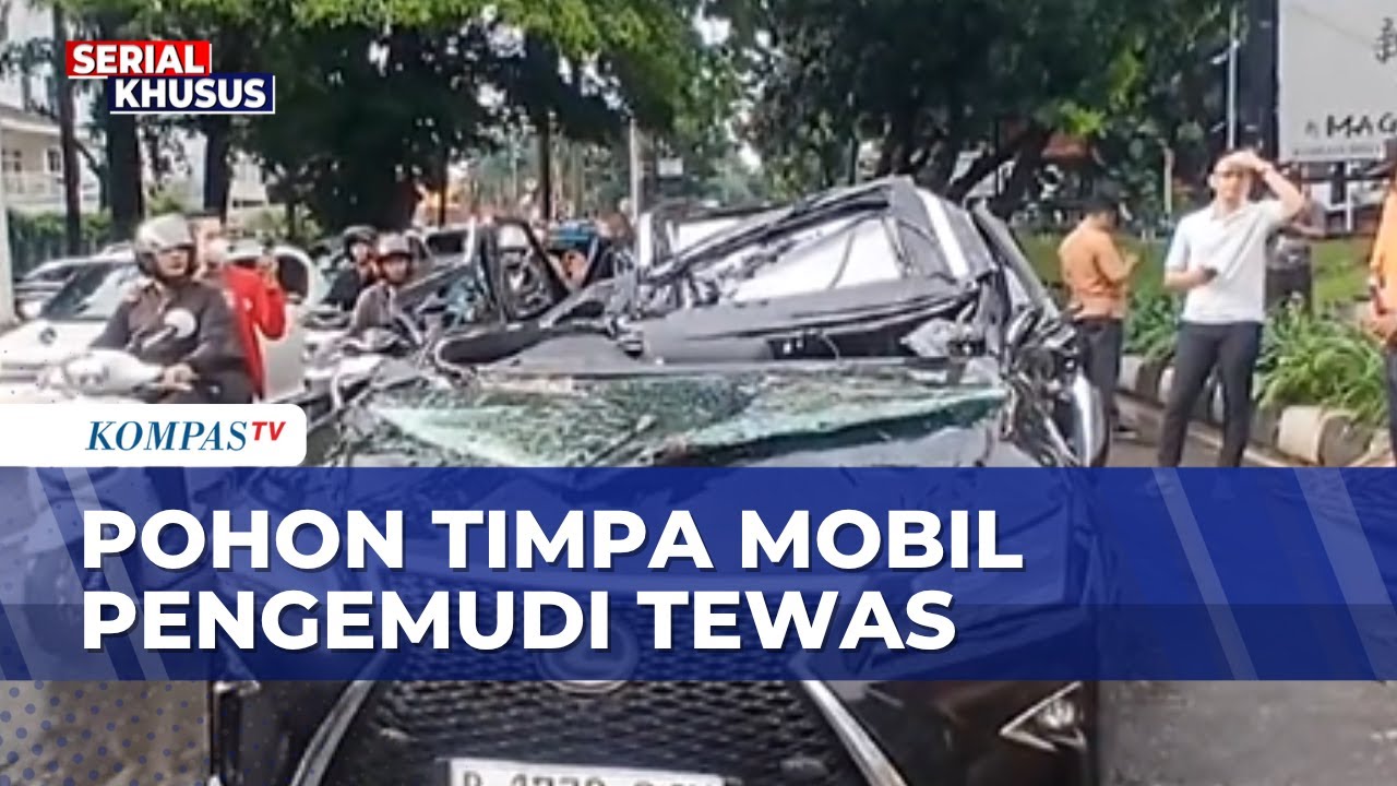 Angin Kencang Buat Pohon Tumbang Hingga Timpa Mobil, Pengemudi Tewas | KOMPAS PETANG
