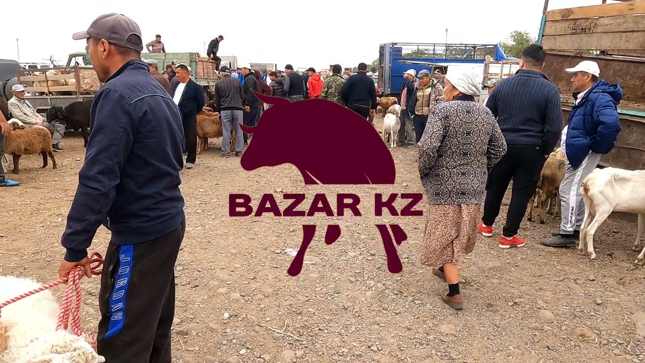 ҰЗЫНАҒАШ МАЛ БАЗАРЫ 21.08.2022 ҚОЙ ЕШКІ БАҒАЛАРЫ #кой#едылбай#гиссар#рамановский#миранос#