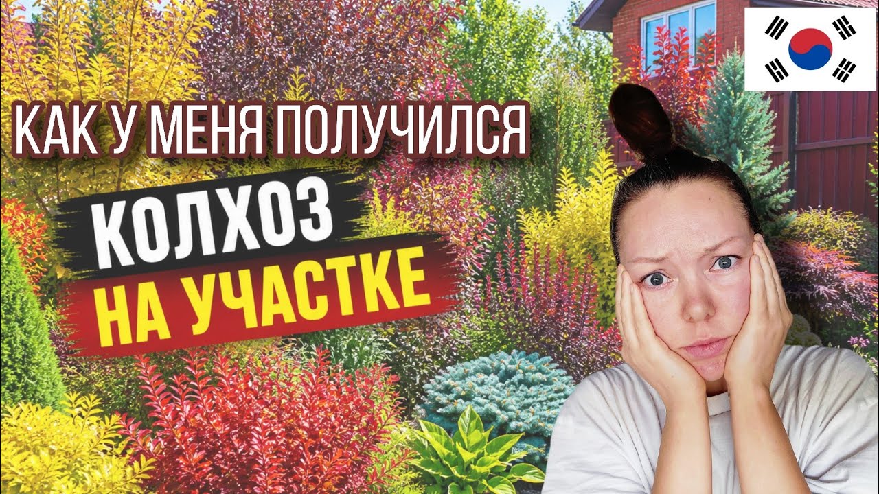 Мой участок в корейских горах и первые ошибки / KOREA VLOG