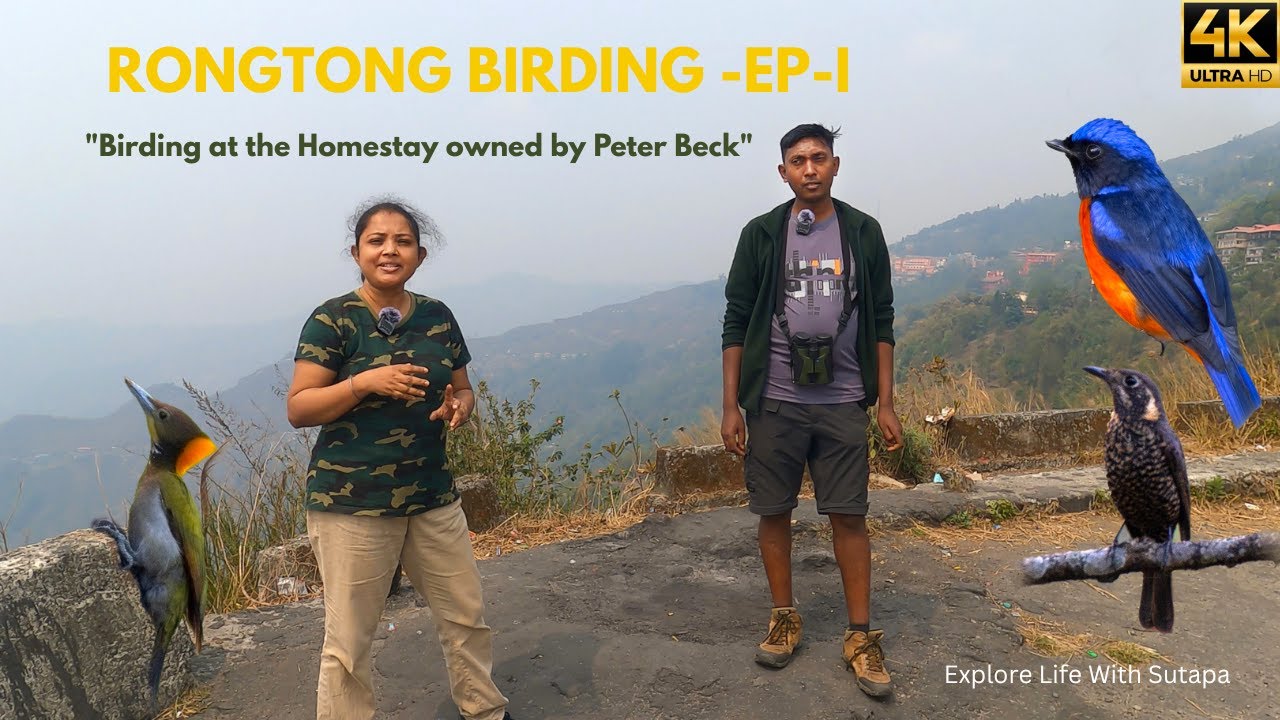 Rongtong | Birding EP-1 | Rongtong Homestay | Vande Bharat | Darjeeling Toy Train