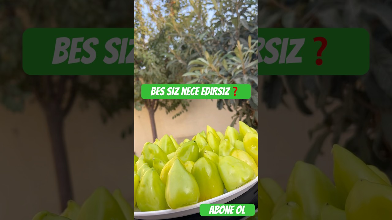 BES SİZ NECE EDİRSİZ? #keşfet #vlog #biberturşusu