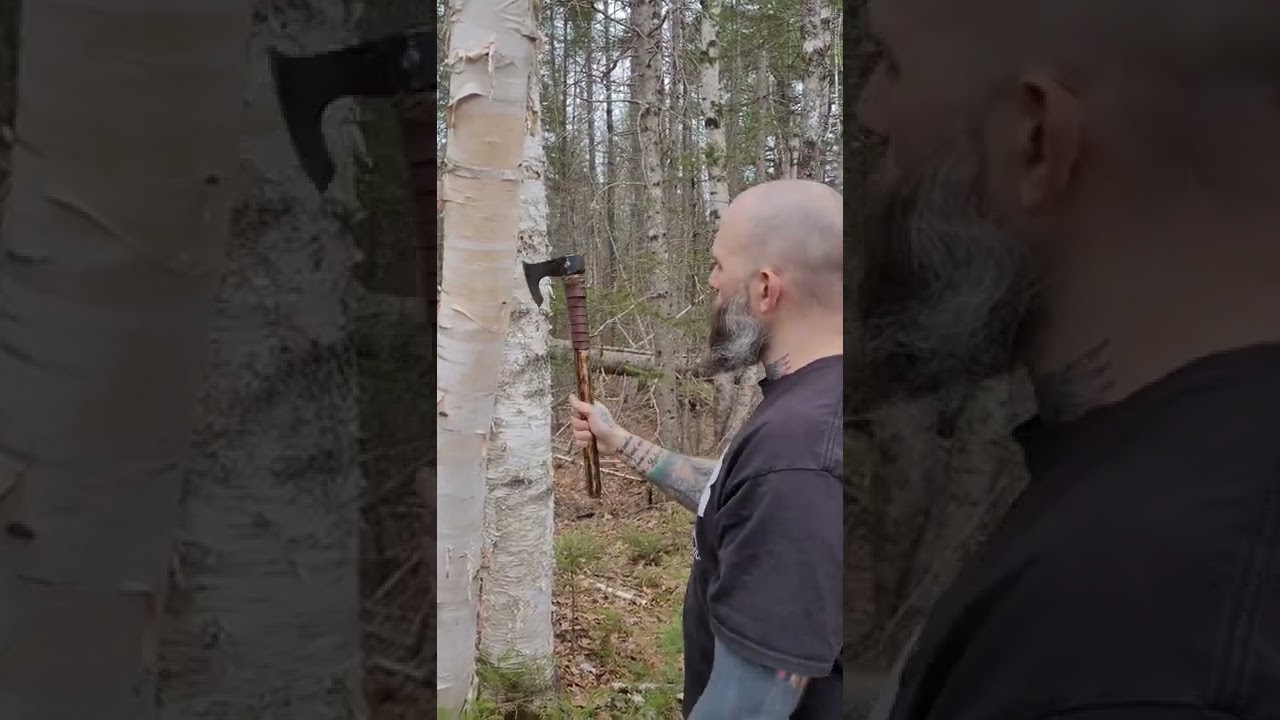 FRESH Mineral Water from a tree. #shorts