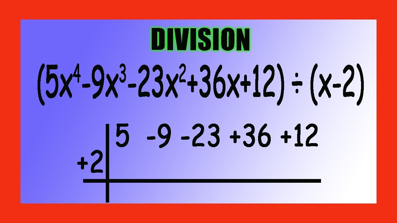 ✅👉 DIVISION SINTETICA