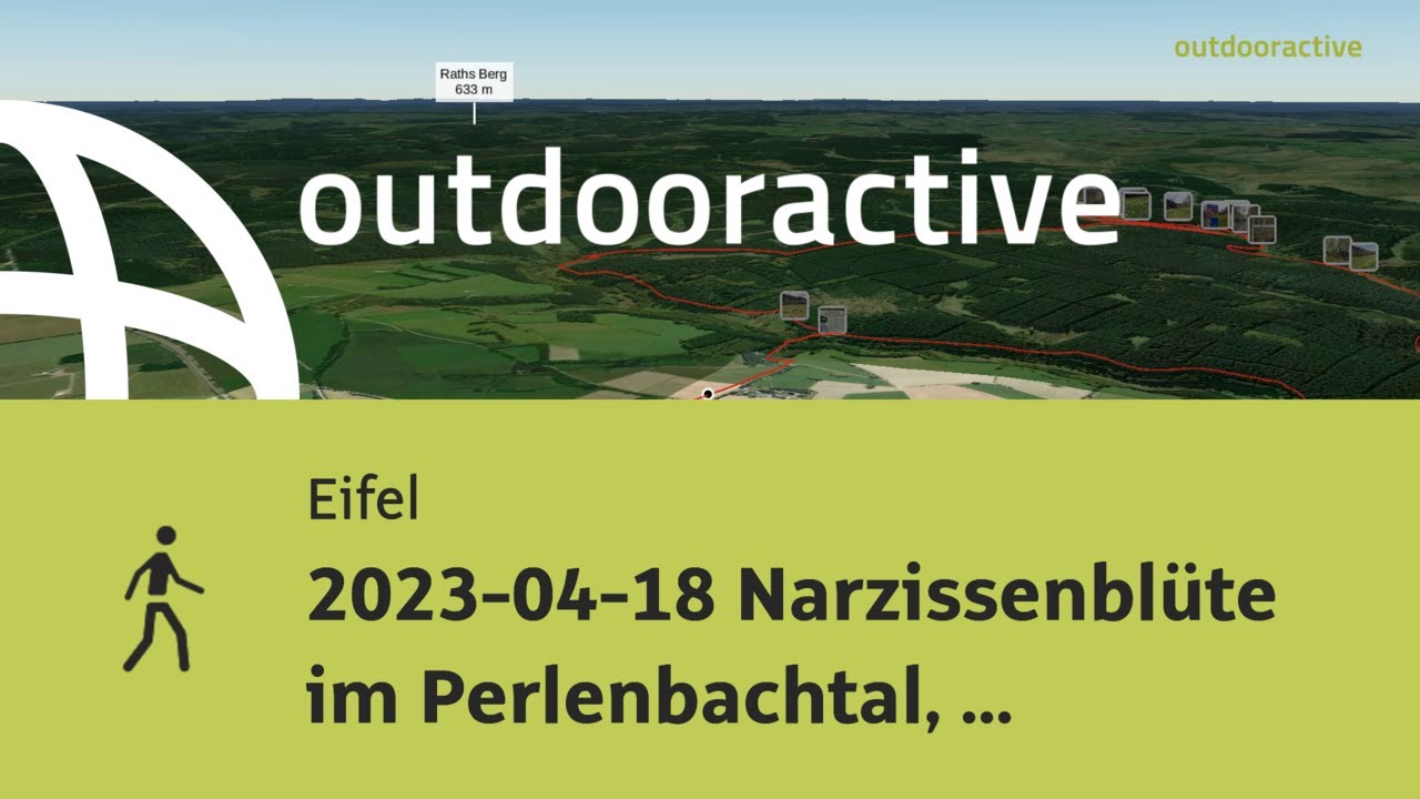 2023-04-18 Narzissenbl&uuml;te im Perlenbachtal, zur Perlenbachtalsperre und durchs Fuhrtsbachtal