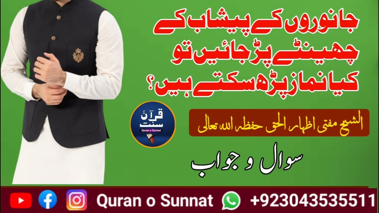 Najasat Waly Kapron Men Namaz ? ||حلال جانوروں کا پیشاب کپڑوں پر لگ جائے تو نماز کا کیا حکم ہے
