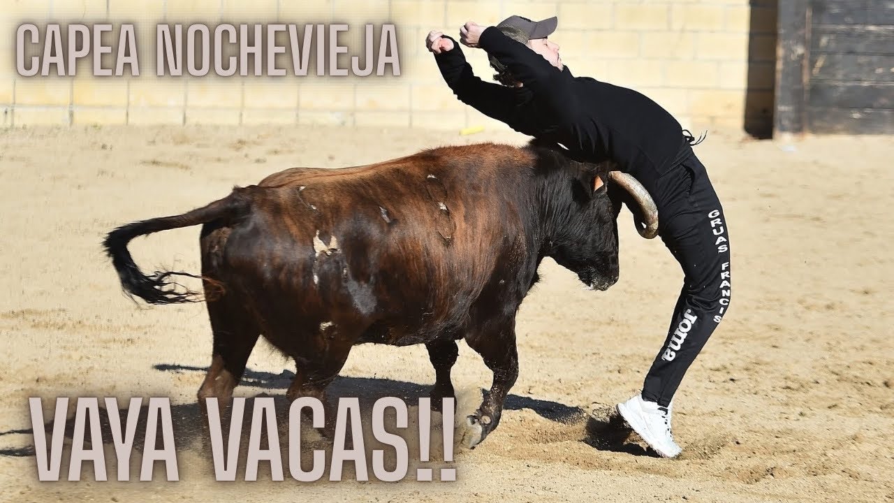 CAPEA NOCHEVIEJA 2025 FINCA VALTAJA CON VACAS EXTRAORDINARIAS!! 