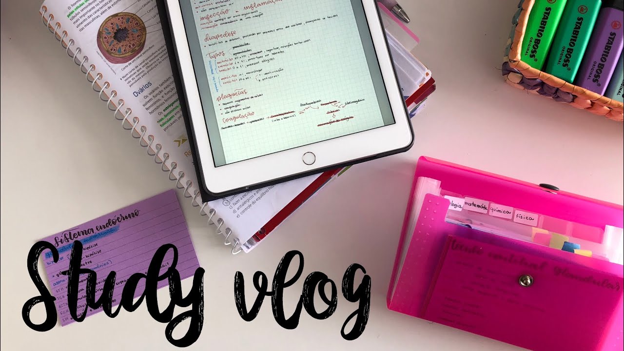 STUDY VLOG + como eu faço resumos no ipad | StudyTiips