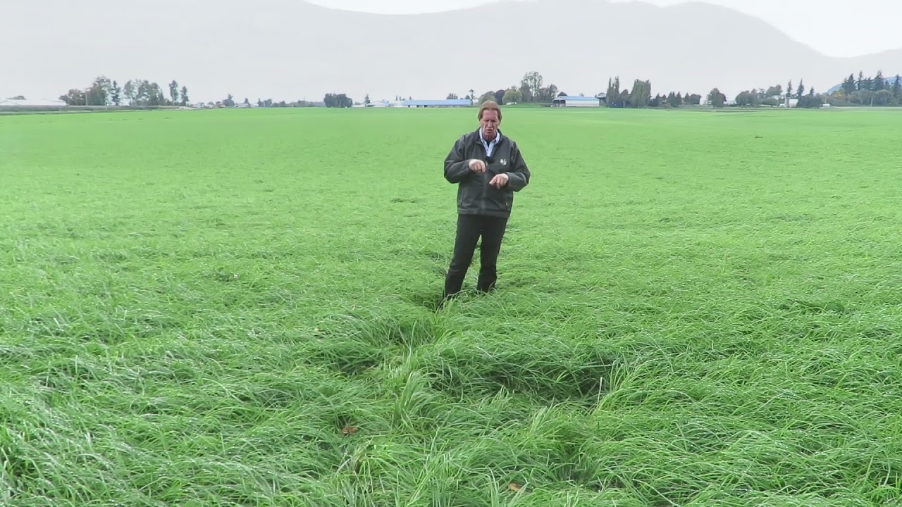 Cutting Height of Last Cut