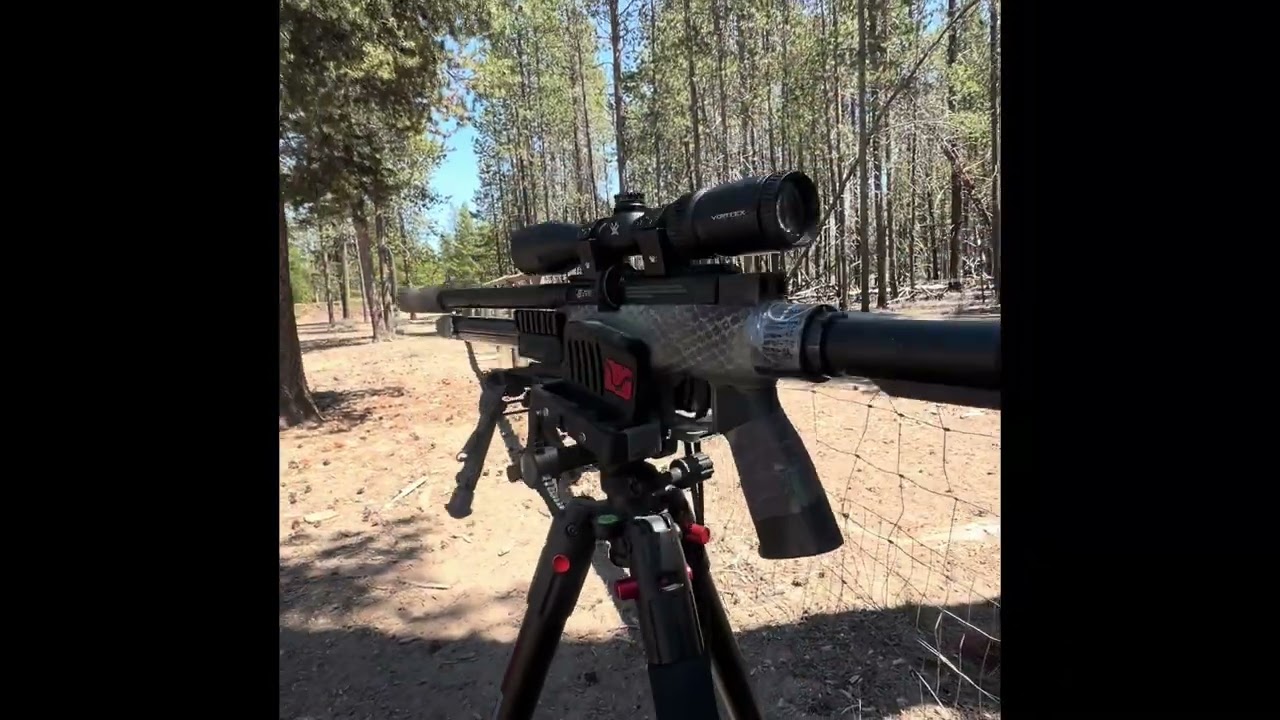 JTS Airstryke Carbine shooting JTS dead center 18.13gr pellets 