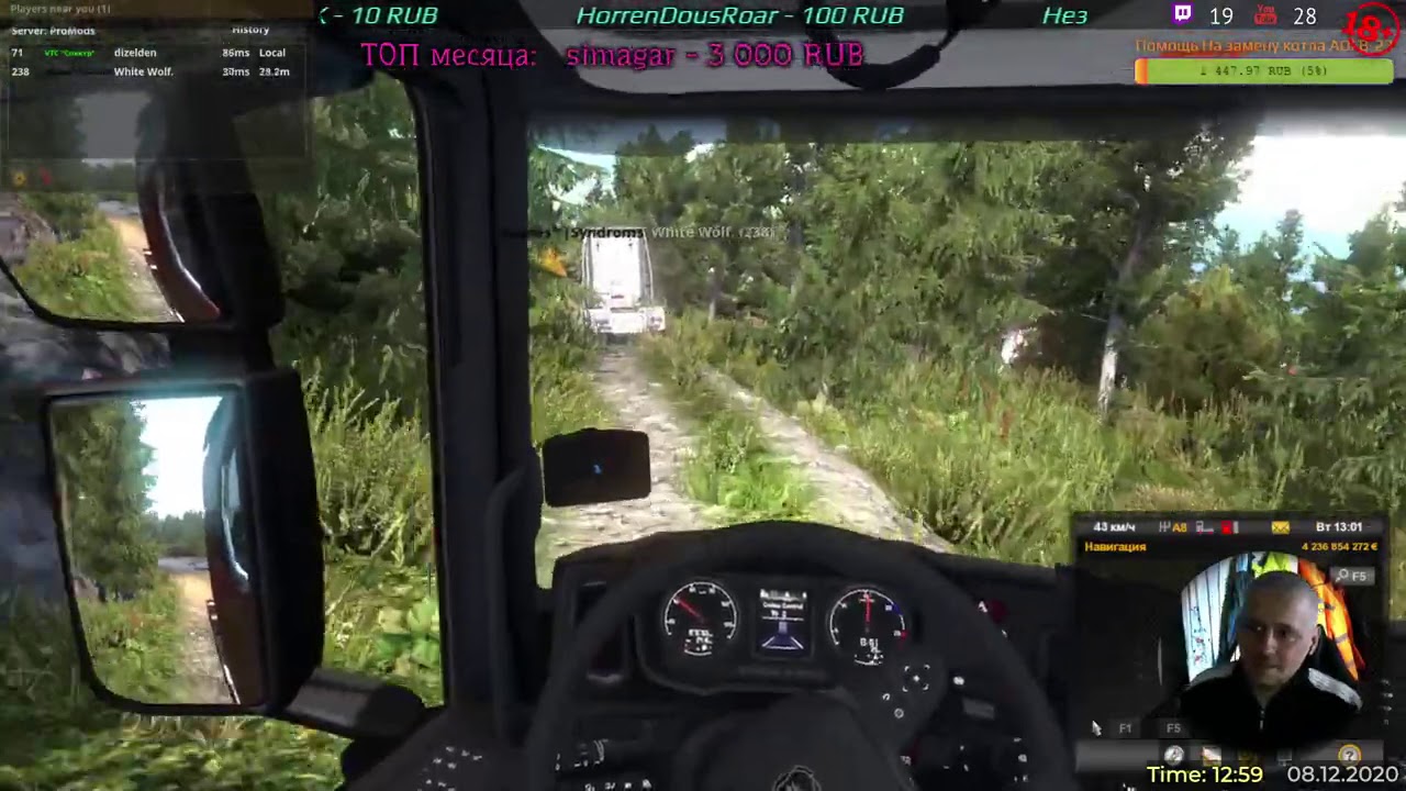 Красивая скрытая дорога на ProMods 2.51 в ETS 2 - Спинтаерс отдыхает