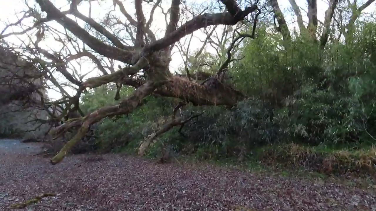 仁淀川の秘密の場所の水が枯れたので歩いてみた