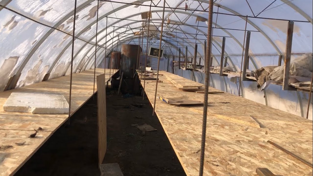 Лайфхаки до нового сезону, по вирощувані в теплиці 