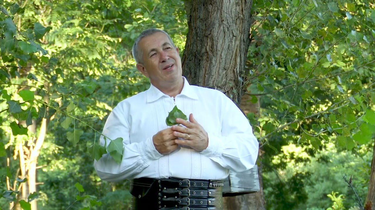 Nicolae TURCU,  Mi s-o dus anii din viață