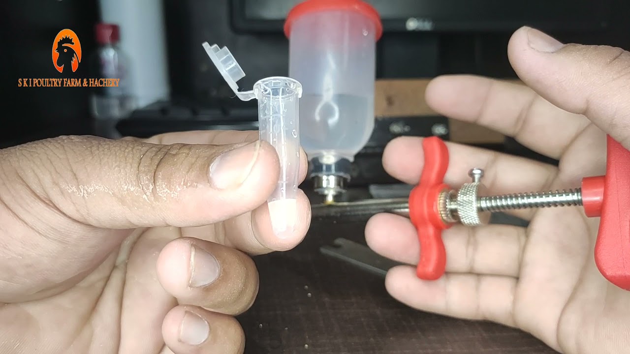 poultry vaccination gun details @skipoultry.com