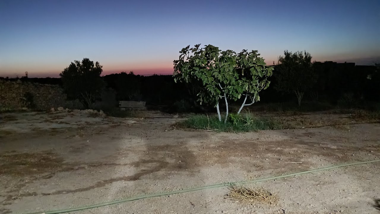 جمال البادية المغربية
