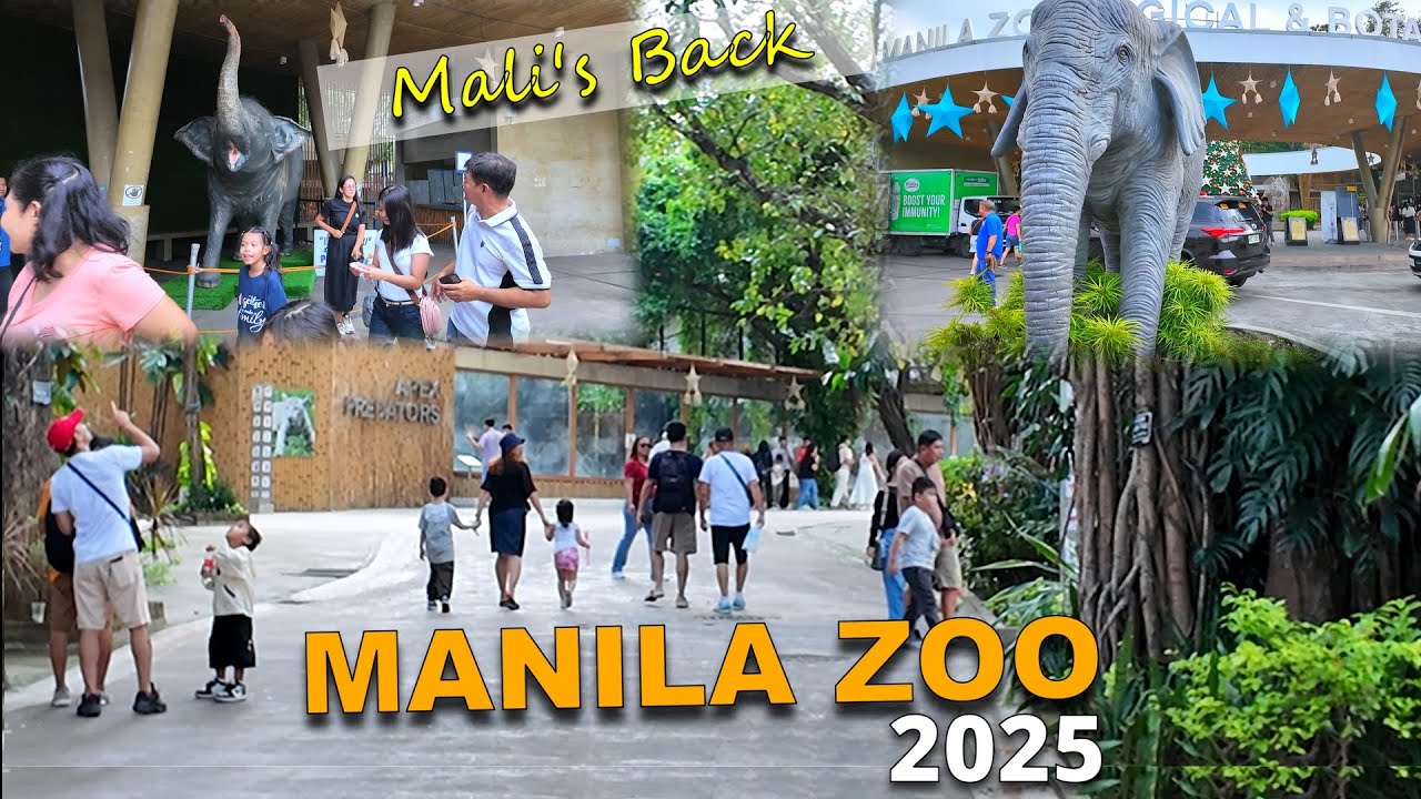MANILA ZOO KAMUSTA NA? 2025 MAY BAGONG ATRAKSYON