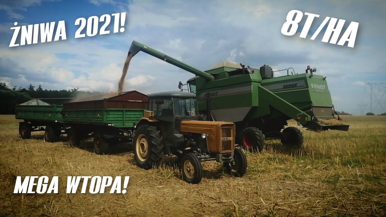 🌾ŻNIWA 2021!!!🌾 MEGA WTOPA! 2xURSUS & FENDT 5220E (pszenica)