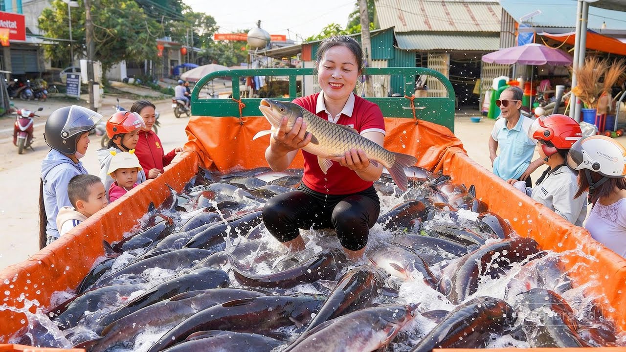 Harvesting 150kg Giant Catfish - Strong Farmer Loading Truck for Heavy Transport | Đào Daily Farm