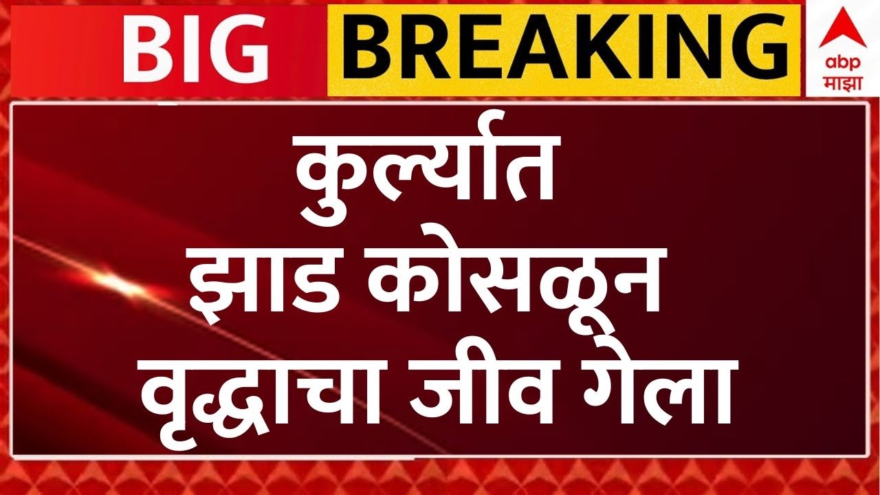 Mumbai Rain LIVE | Kurla Tree Collapse | कुर्ल्यात झाड कोसळून वृद्धाचा मृत्यू | ABP Majha LIVE
