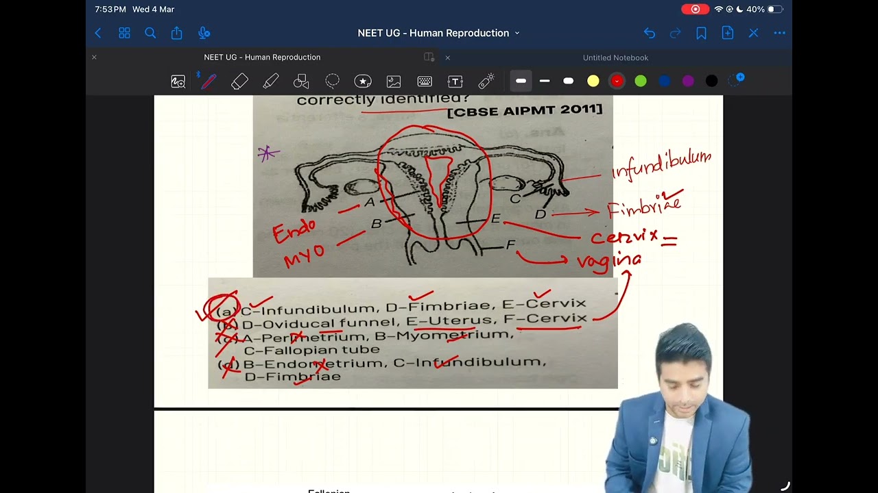 NEET UG BIOLOGY MCQ 