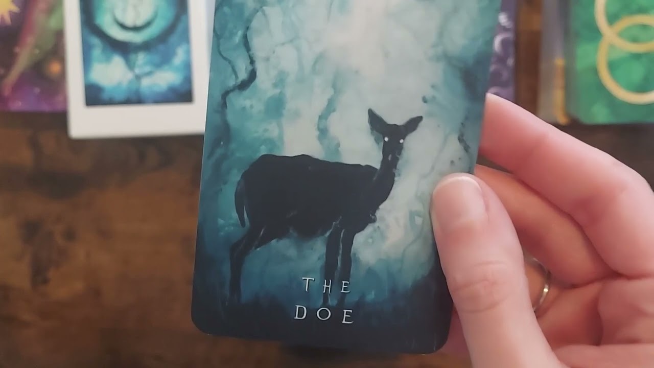 Dreams and Incarnations Oracle Deck Review