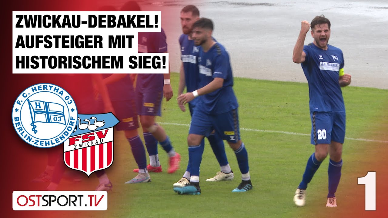 Zwickau-Debakel! Aufsteiger Hertha mit historischem Sieg: Zehlendorf - FSV | Regionalliga Nordost