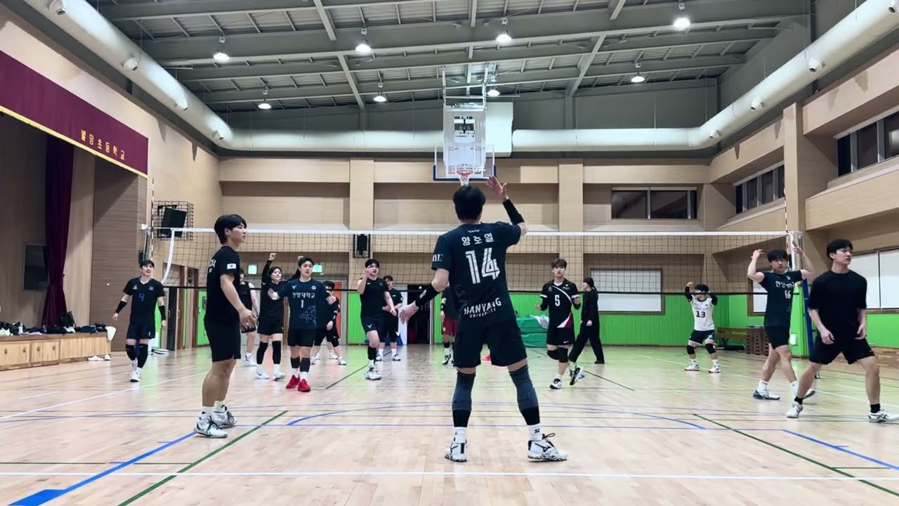 20260319 별망초 연습게임3