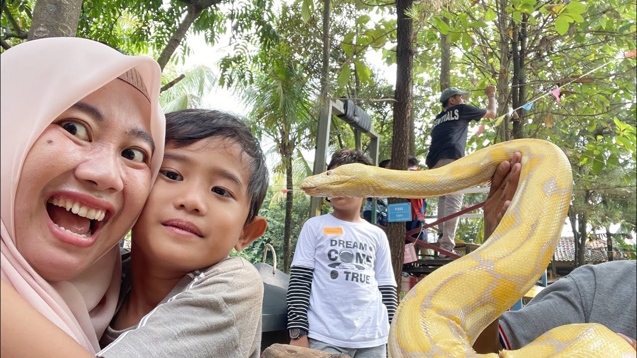 LIBURAN SEKOLAH 🎉 LIAT ULAR BESAR DAN BERMAIN FLYING FOX | Ali vlog